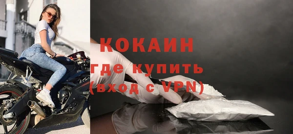 амф Дмитров