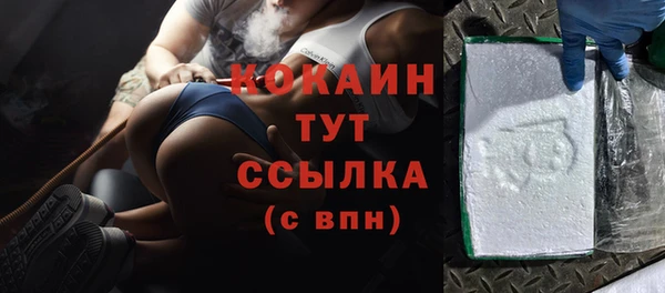 стафф Дмитриев