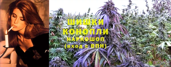 стафф Дмитриев