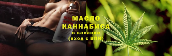 амф Дмитров