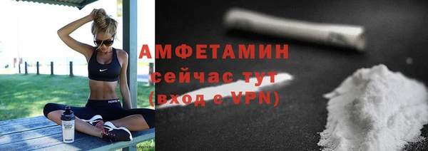 амф Дмитров