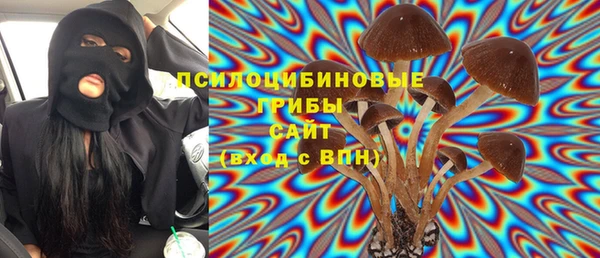 стафф Дмитриев
