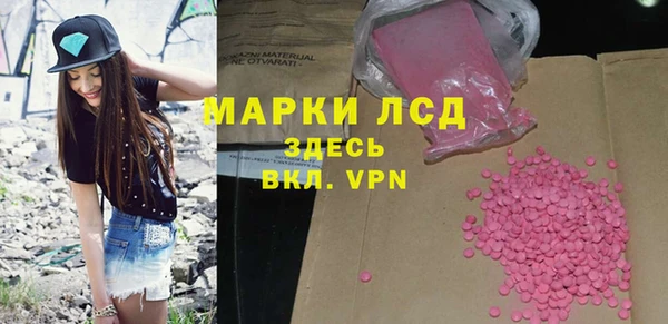 стафф Дмитриев