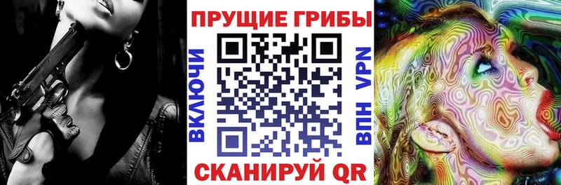 Купить  Каргат  Галлюциногенные грибы прущие грибы 